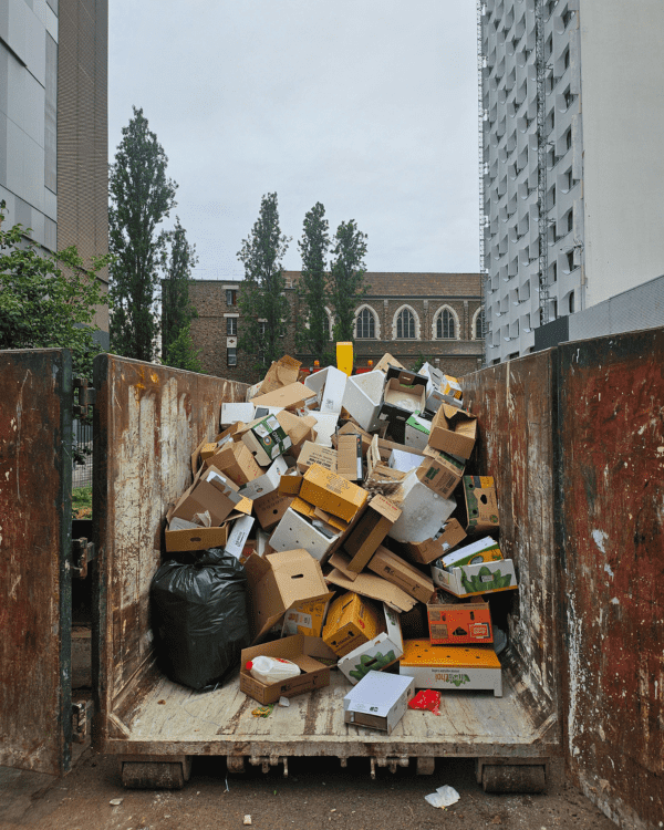Benne contenant des cartons et des déchets issus d'une opération de débarras professionnel.